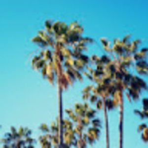 Meet your Posher, Wolfhawk